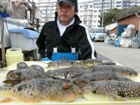 ふぐ釣り好調です！！