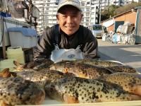 ふぐ釣り好調です！！