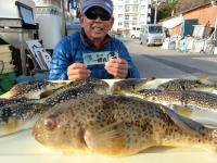 ふぐ釣り好調です！！