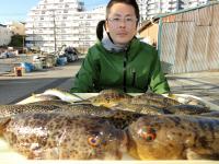 ふぐ釣り好調です！！