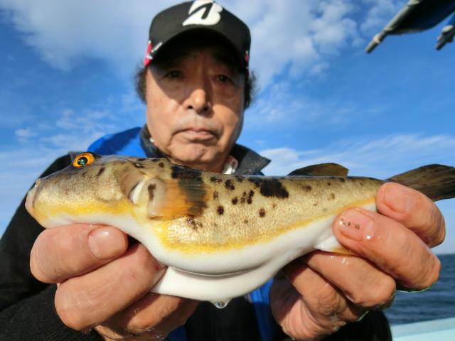 ふぐ釣り好調です！！4枚目