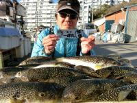 ふぐ釣り絶好調です！！