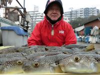 ふぐ釣り絶好調です！！
