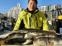 ふぐ釣り絶好調です！！