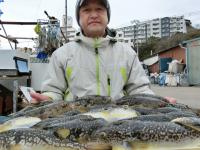 ふぐ釣り絶好調です！！