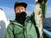 ふぐ釣り絶好調です！！