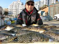 ふぐ釣り絶好調です！！