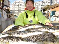 ふぐ釣り絶好調です！！