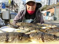 ふぐ釣り好調です！！