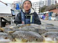 ふぐ釣り絶好調です！！