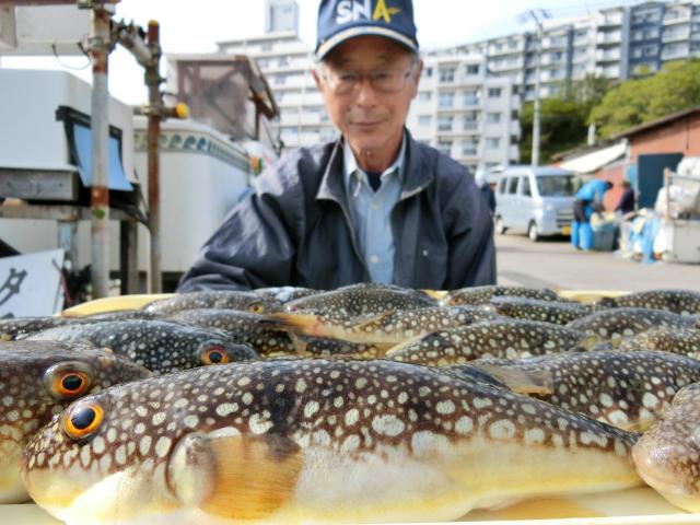 ふぐ釣り絶好調です！！1枚目