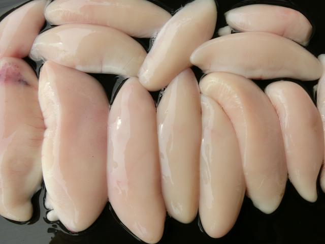 ふぐ釣り2枚目
