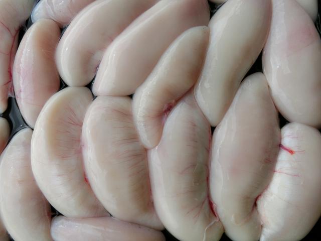 ふぐ釣り好調です！！2枚目