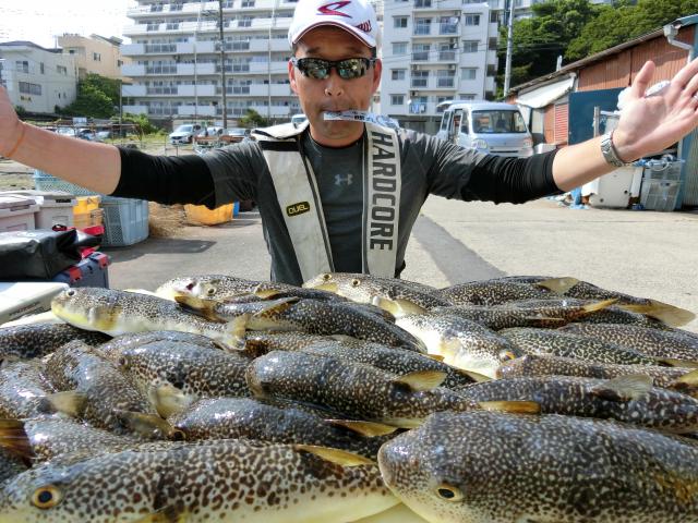 ふぐ釣り絶好調です 釣り船 鴨居大室 一郎丸 東京湾 神奈川県 三浦半島