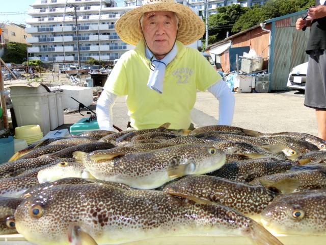 ふぐ釣り絶好調です！！1枚目