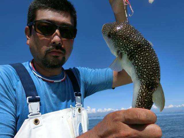 ふぐ釣り絶好調です！！4枚目