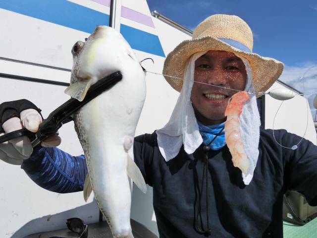 ふぐ釣り絶好調です！！5枚目