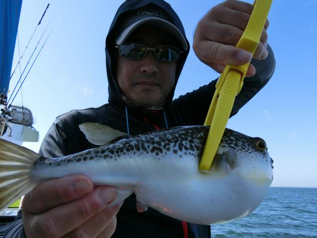 ふぐ釣り5枚目