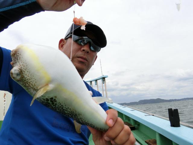 ふぐ釣り絶好調です！！2枚目