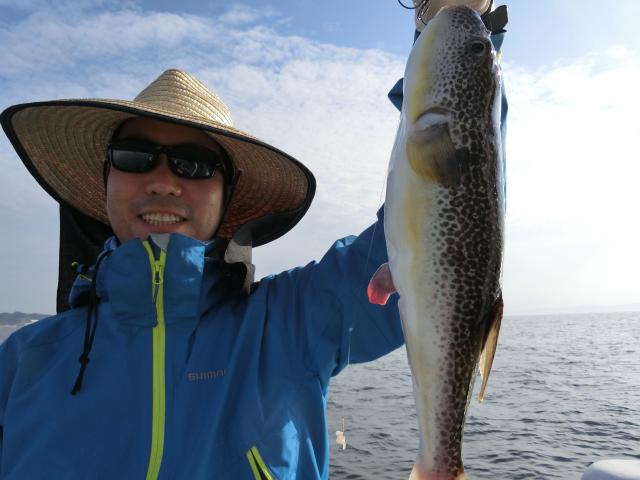 ふぐ釣り好調です！！3枚目