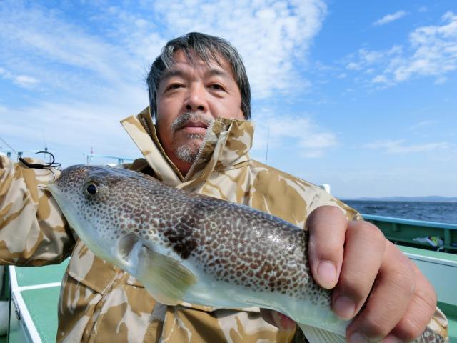 ふぐ釣り絶好調です！！2枚目
