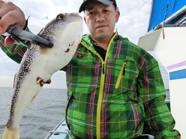 ふぐ釣り絶好調です！！5枚目