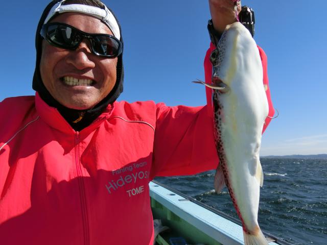ふぐ釣り好調です！！1枚目