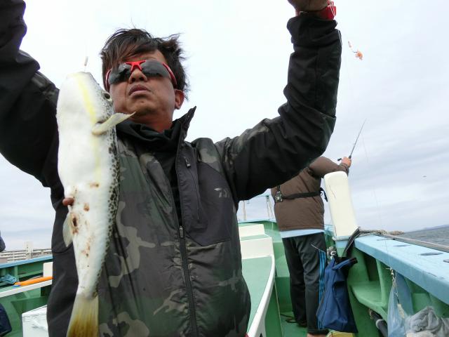 ふぐ釣り好調です！！3枚目