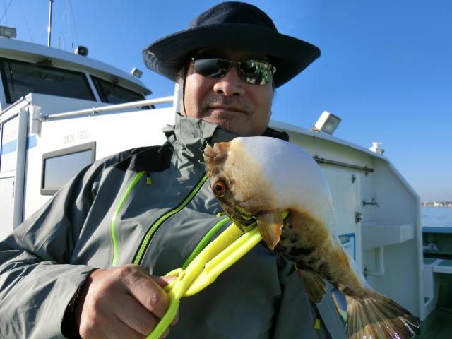 ふぐ釣り好調です！！5枚目