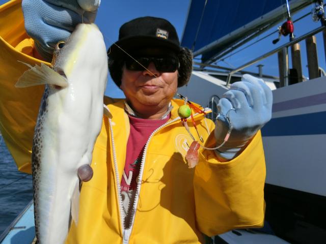 ふぐ釣り4枚目