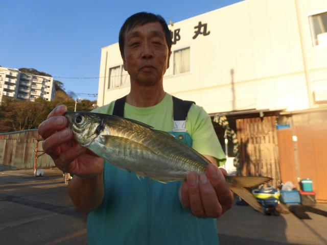 タチウオ・アジリレー3枚目