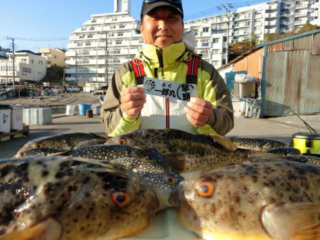 ふぐ釣り好調です！！1枚目
