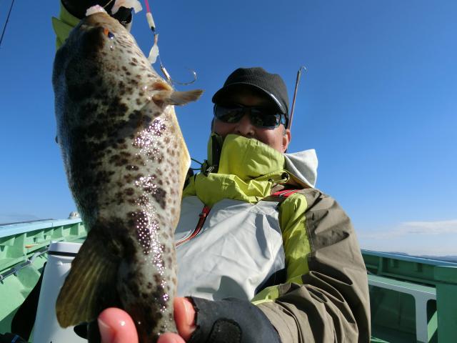 ふぐ釣り好調です！！3枚目
