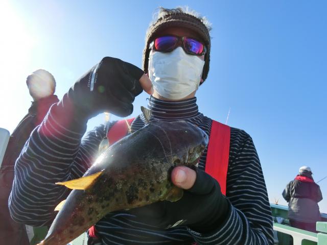 ふぐ釣り好調です！！3枚目
