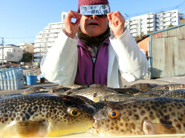 ふぐ釣り絶好調です！！1枚目