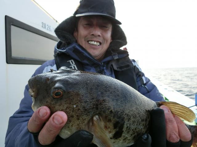 ふぐ釣り絶好調です！！2枚目