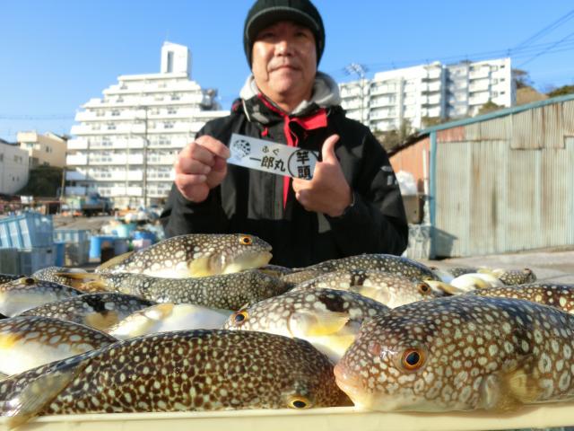 ふぐ釣り絶好調です！！1枚目