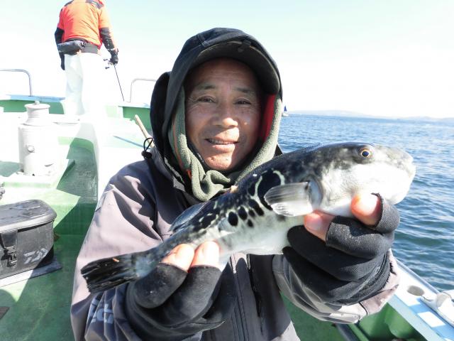 トラフグ釣り3枚目