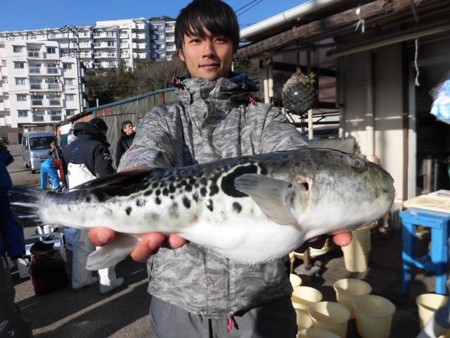 トラフグ釣り1枚目