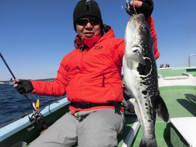 トラフグ釣り2枚目