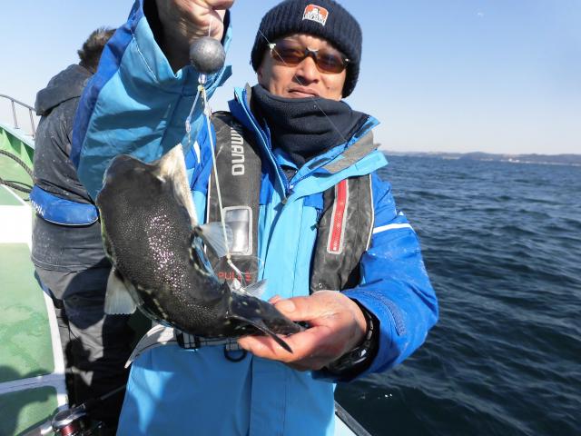 トラフグ釣り5枚目