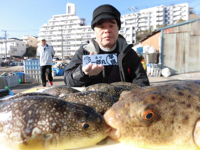 ふぐ釣り好調です！！1枚目