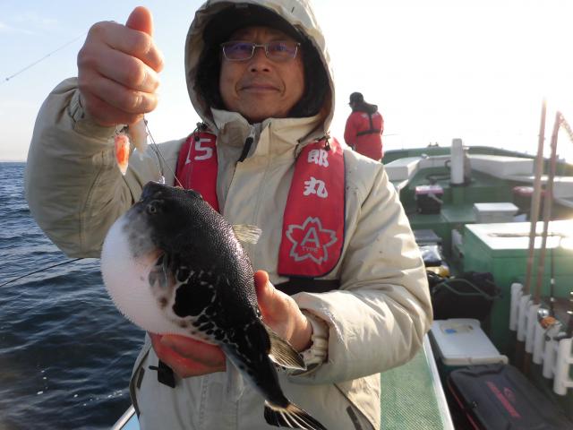 トラフグ釣り1枚目