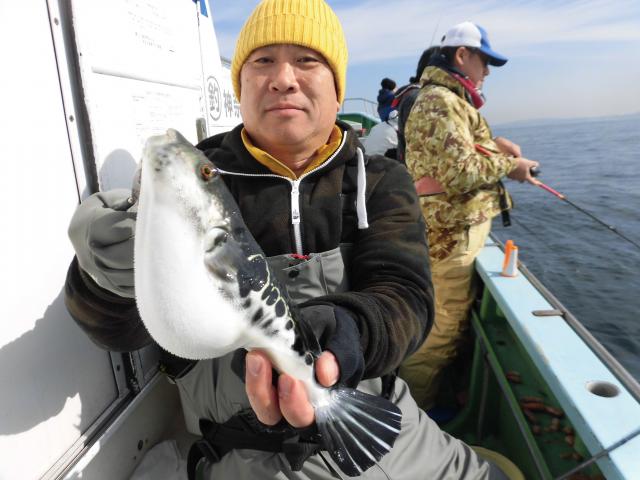 トラフグ釣り5枚目