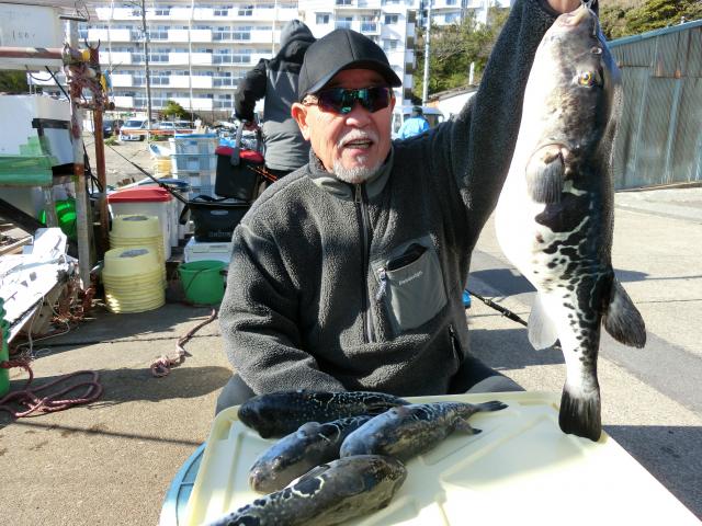 トラフグ釣り大漁です！！2枚目