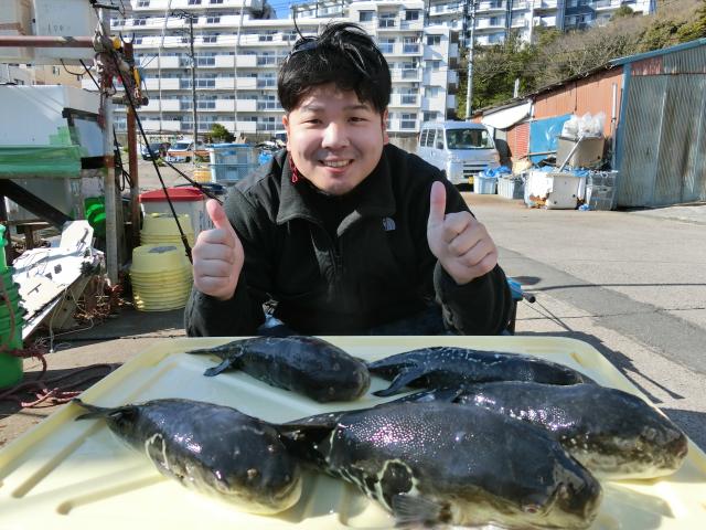トラフグ釣り大漁です！！3枚目