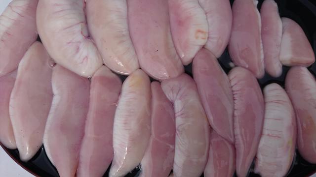 ふぐ釣り好調です！！2枚目