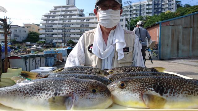 ふぐ釣り好調です！！1枚目