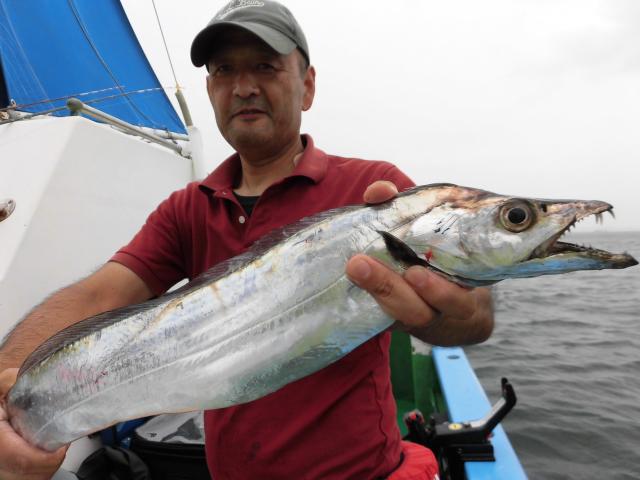 タチウオ・アジリレー3枚目