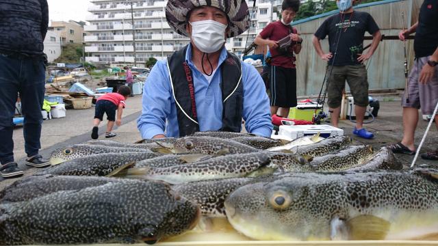 ふぐ釣り好調です！！1枚目
